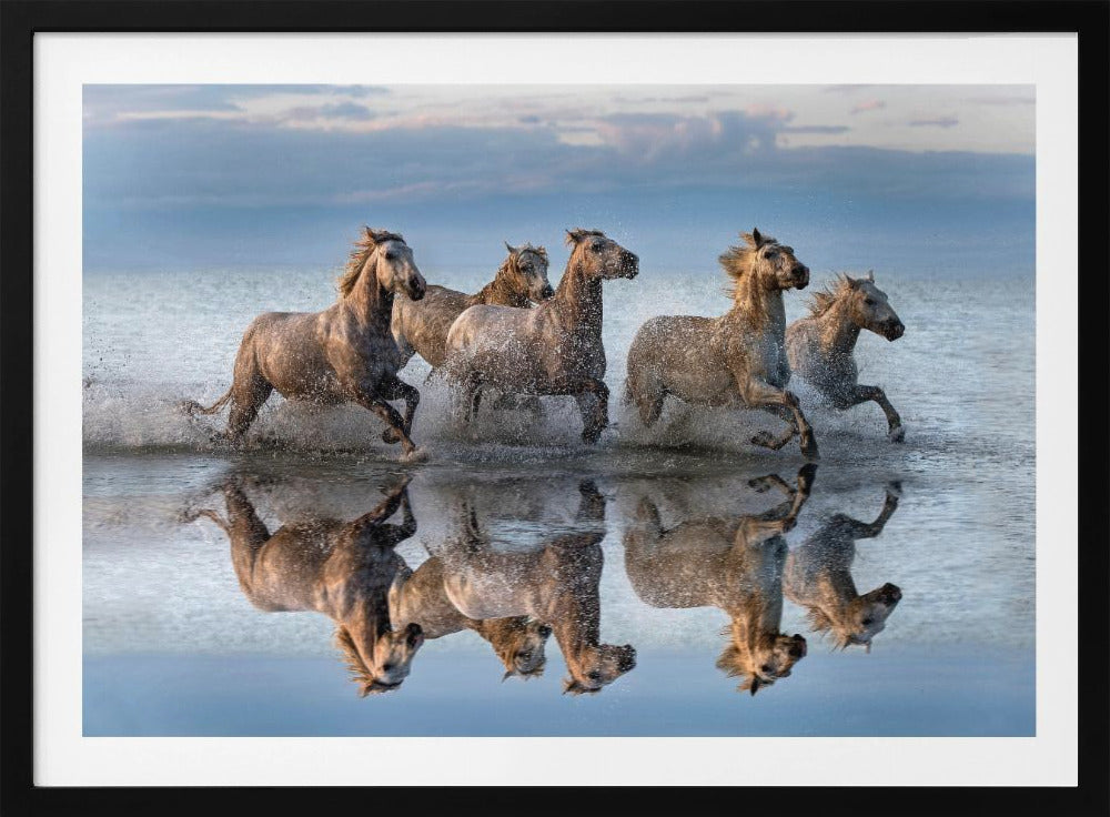 Konie i refleksja | Plakaty - Wydruki Artystyczne
