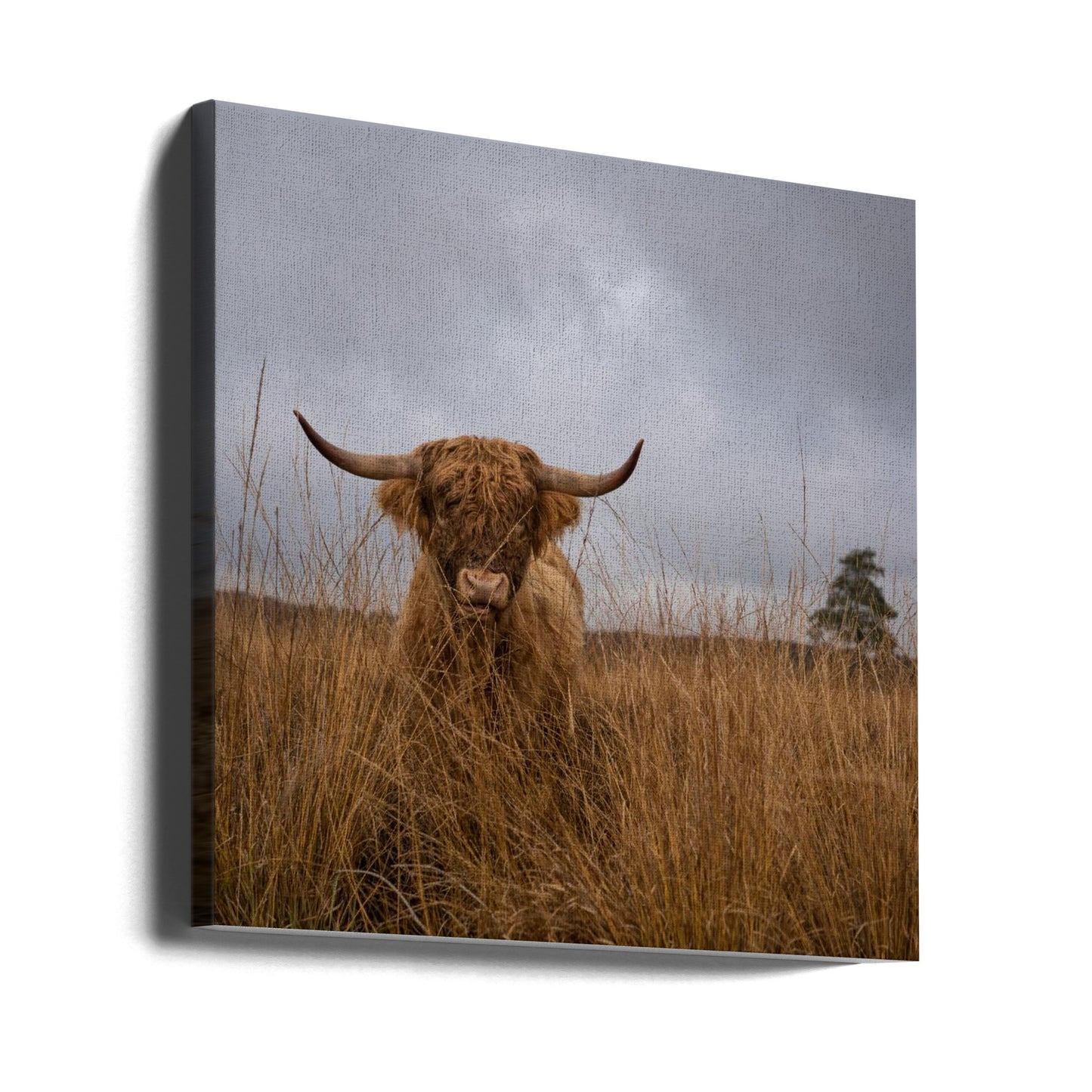 It wasn't me | Canvas