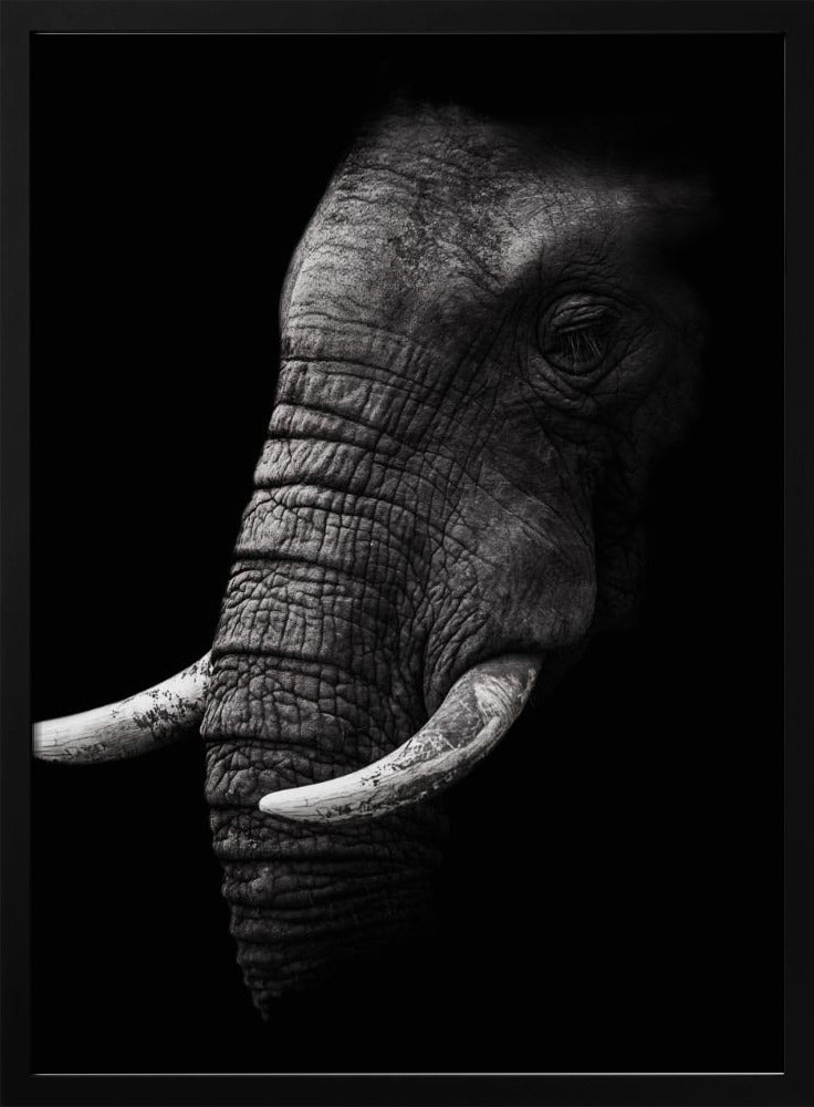 Portrait | Poster