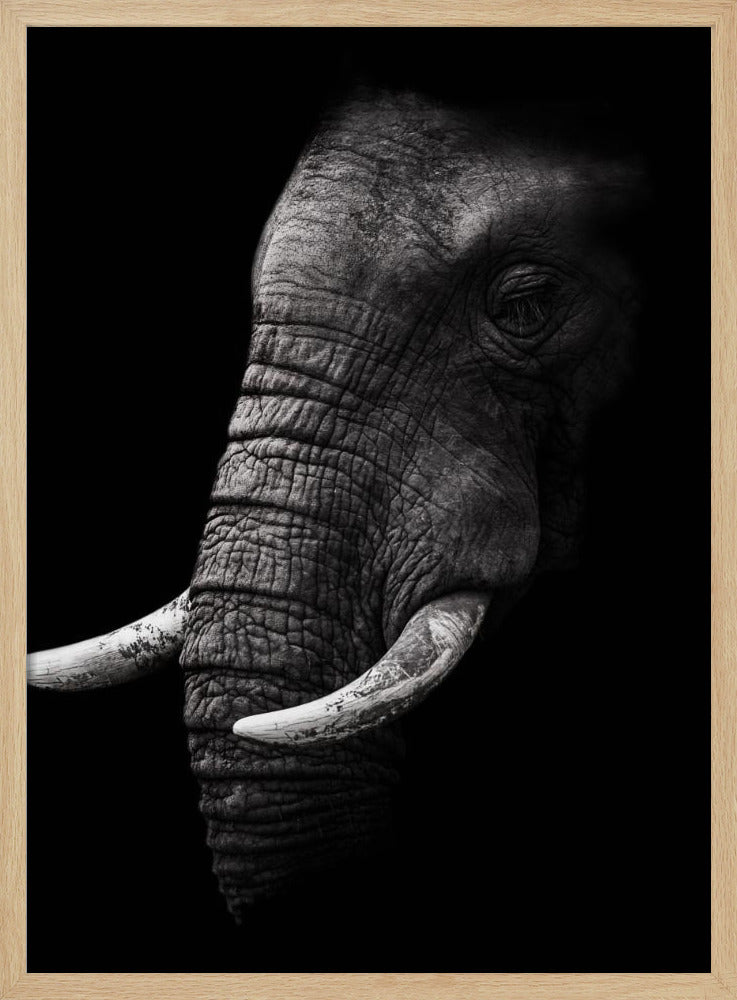 Portrait | Poster