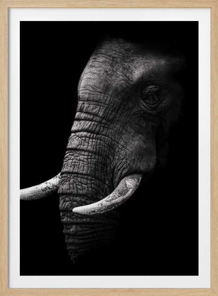 Portrait | Poster
