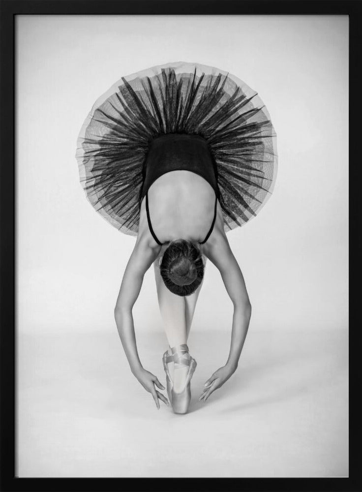 Ballet Technique | Poster