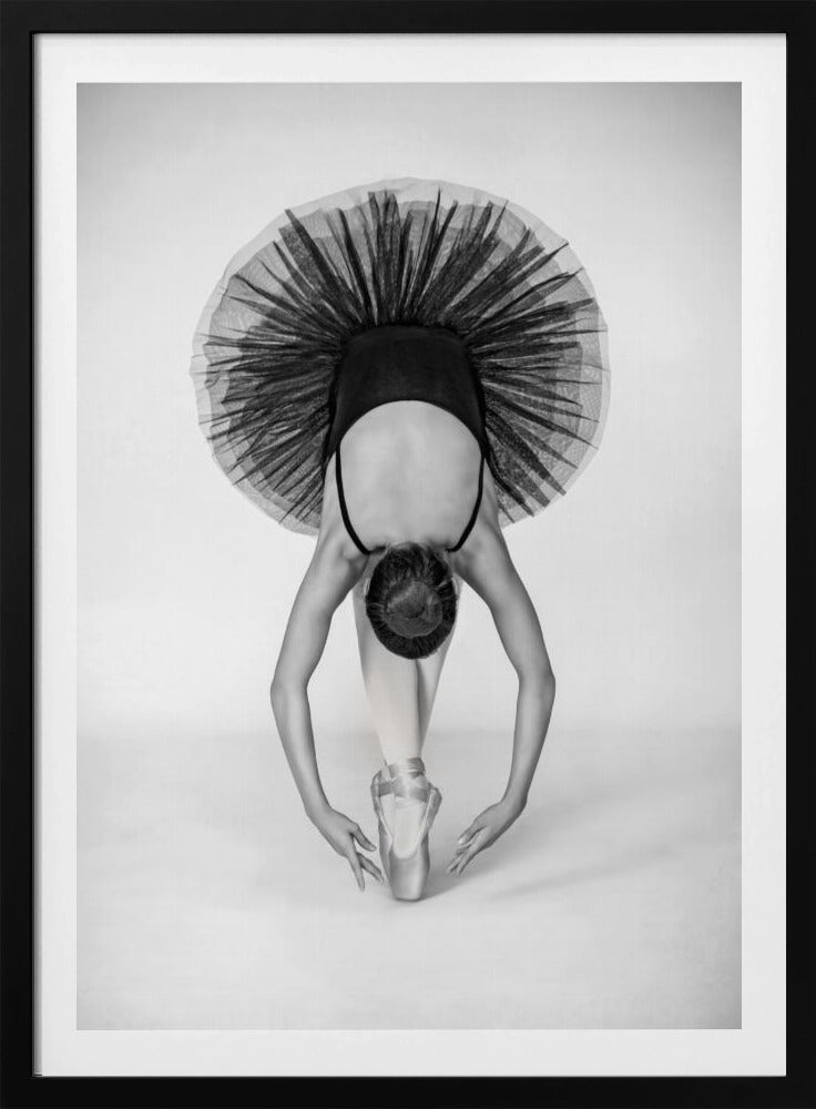 Ballet Technique | Poster