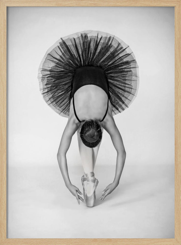 Ballet Technique | Poster