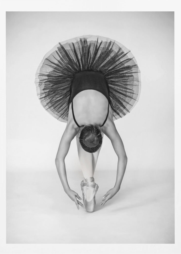 Ballet Technique | Poster