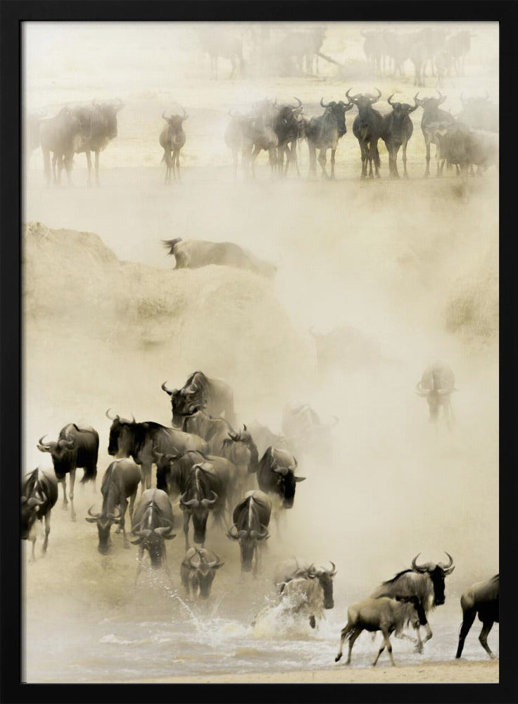Swarming | Poster