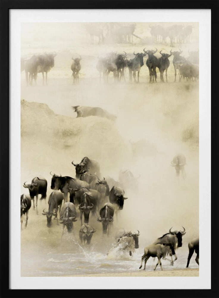 Swarming | Poster