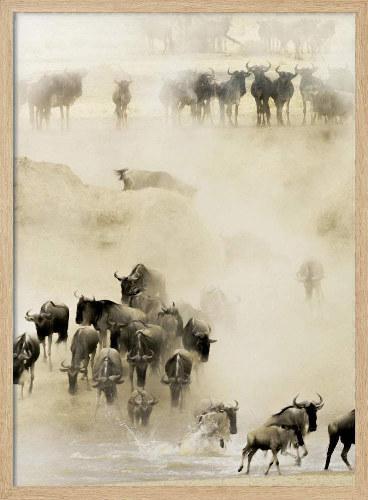 Swarming | Poster