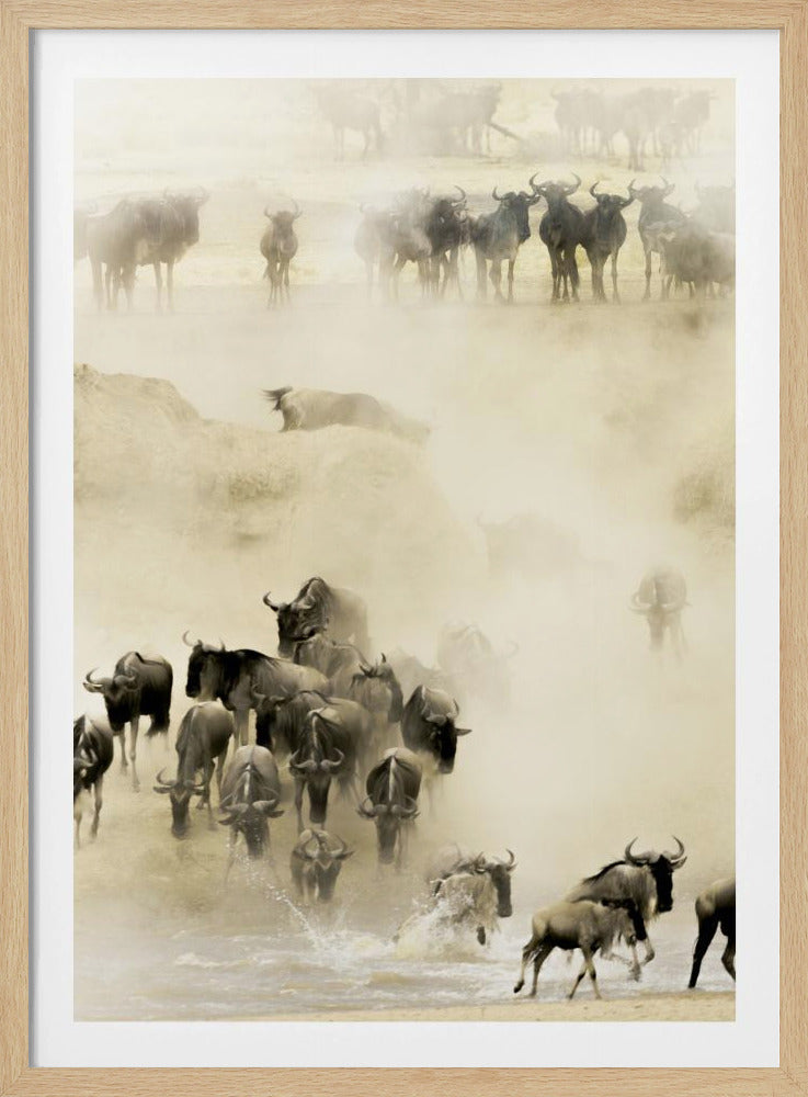 Swarming | Poster