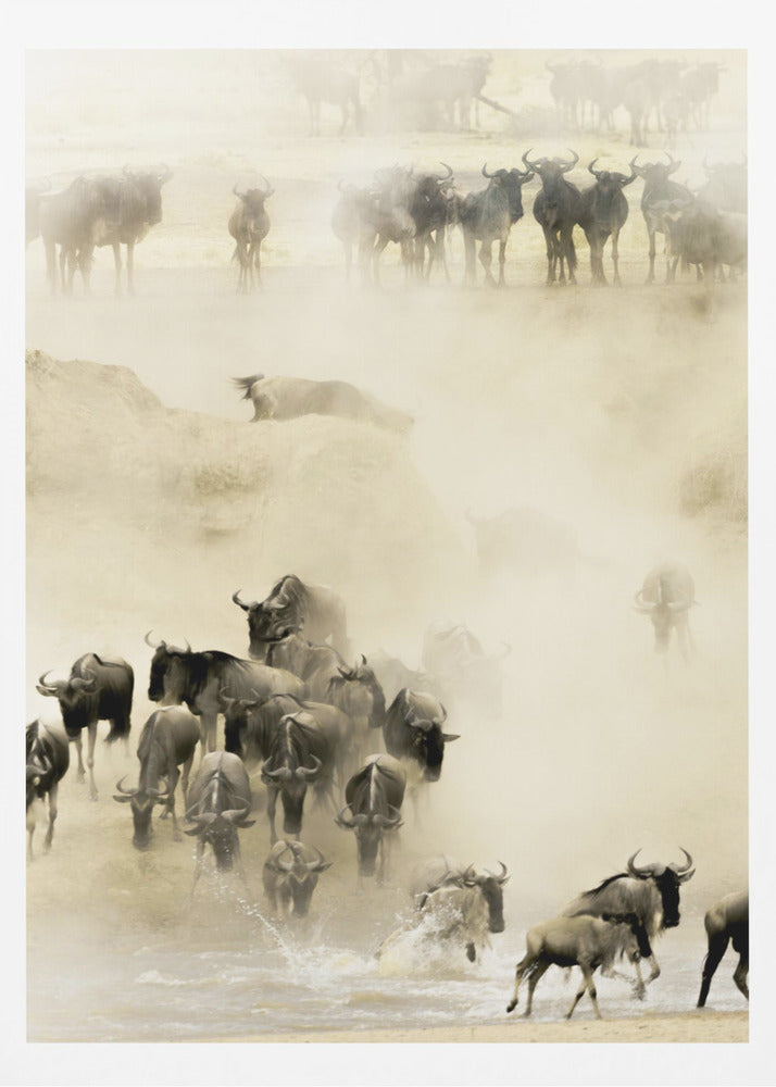 Swarming | Poster