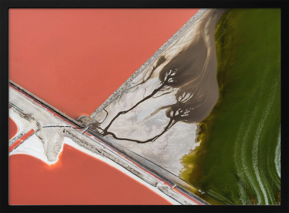 Luonnon maalaus | Julisteet - Taidevedokset