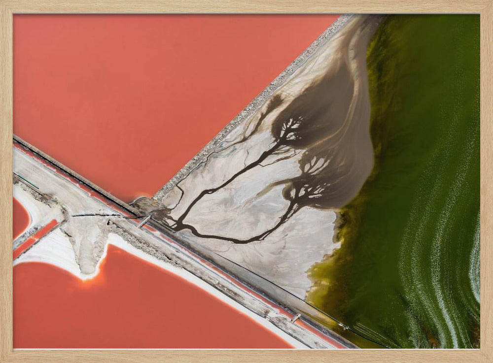 Luonnon maalaus | Julisteet - Taidevedokset