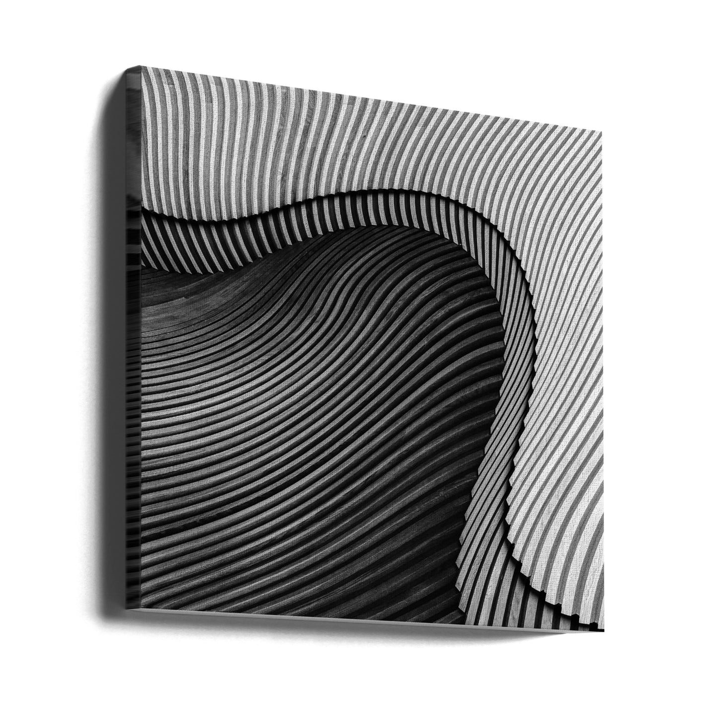The wood project II - Sea shore | Canvas