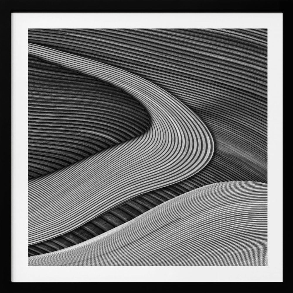 The wood project III - Zen garden | Poster