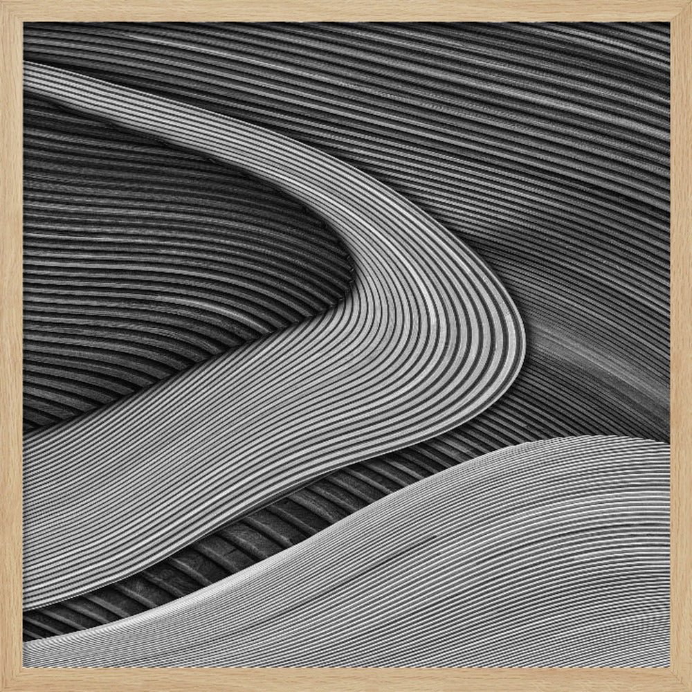 The wood project III - Zen garden | Poster