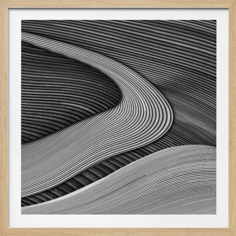 The wood project III - Zen garden | Poster