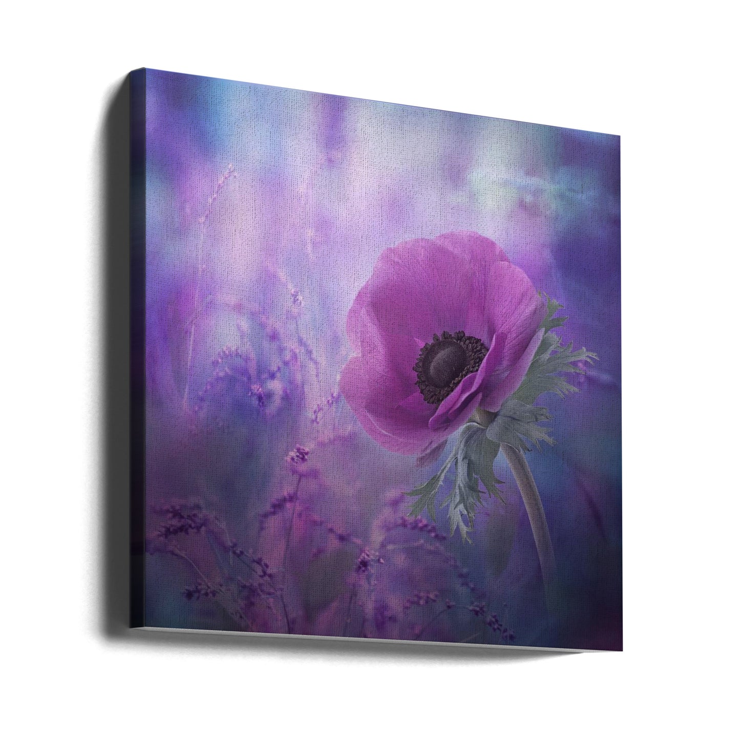 Ecstasy | Canvas