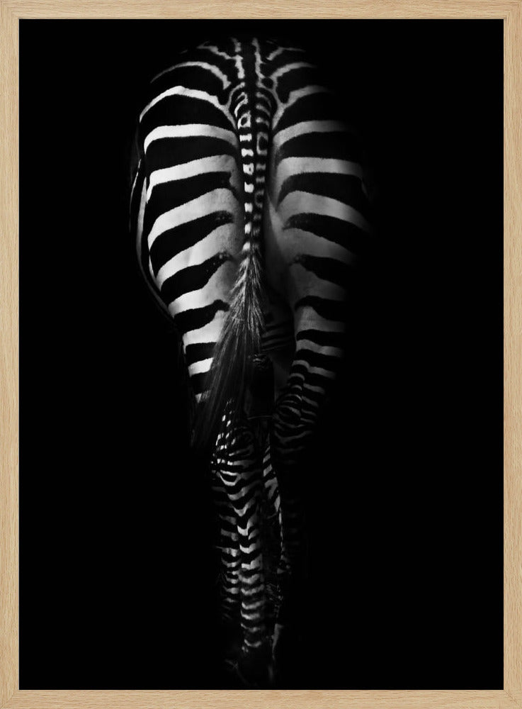 Untitled | Poster