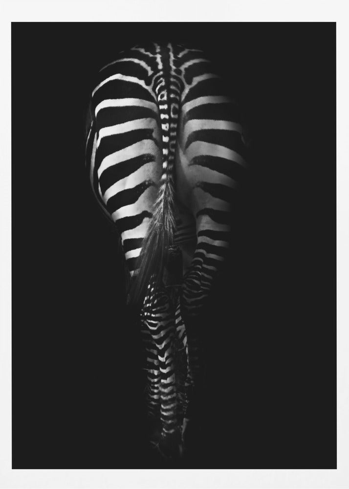 Untitled | Poster