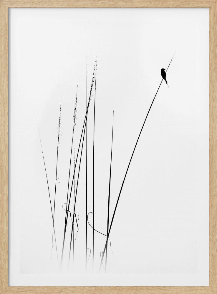 a sabbatical | Poster