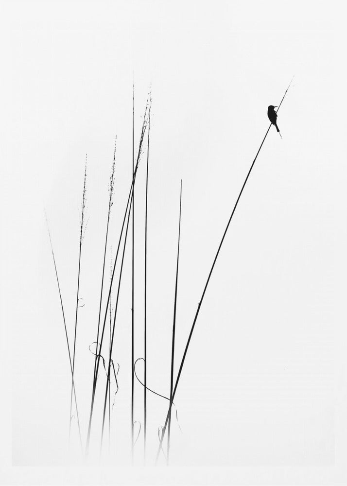 a sabbatical | Poster