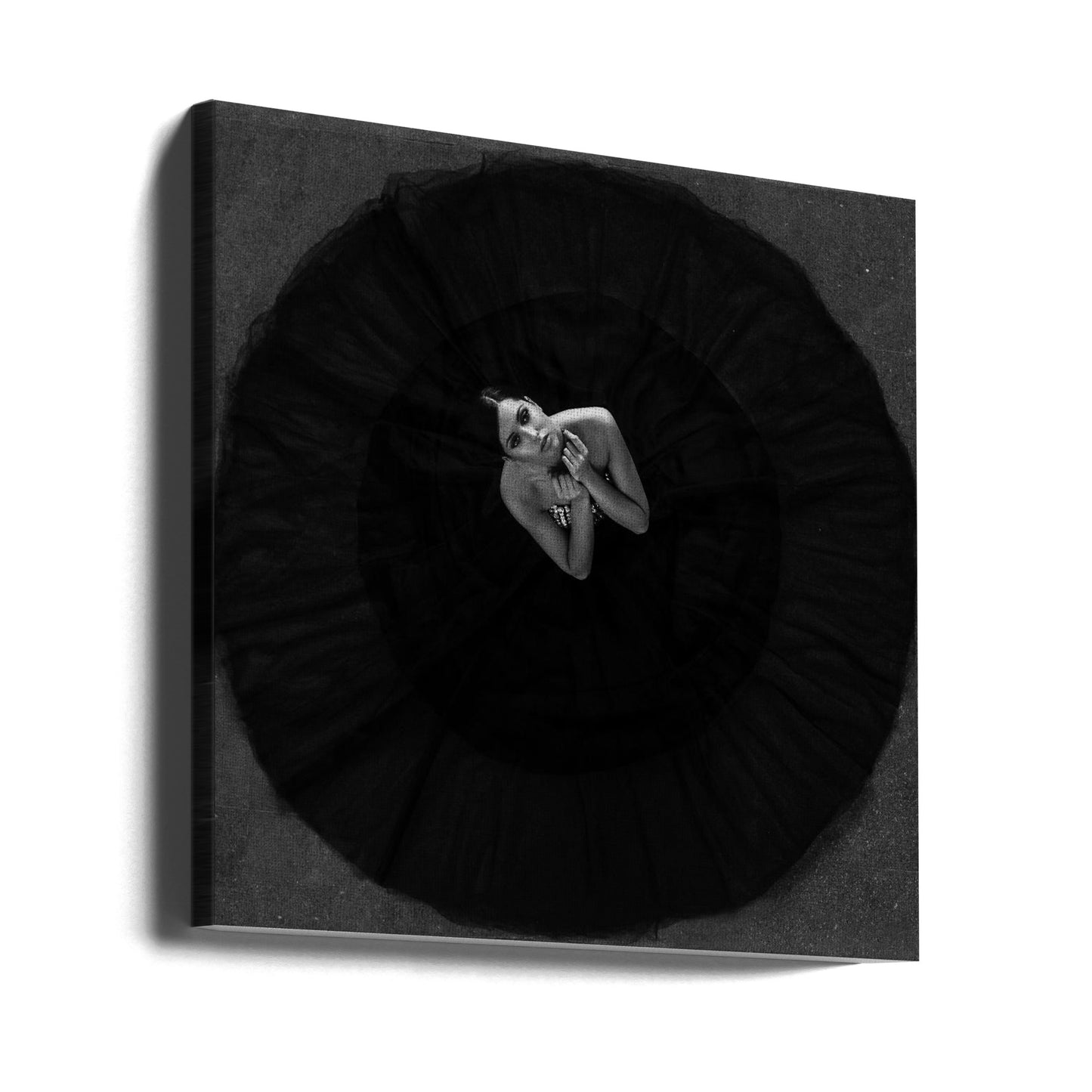 Musta joutsen | Canvastaulut