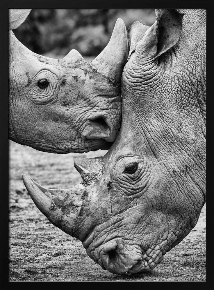 Face to face | Poster
