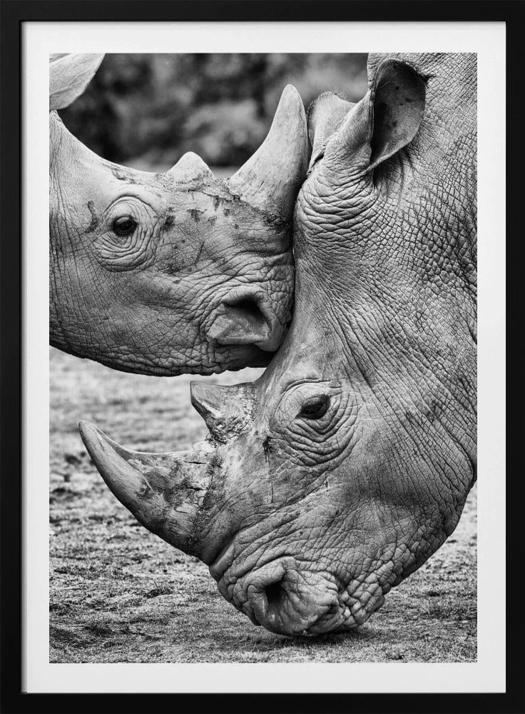 Face to face | Poster