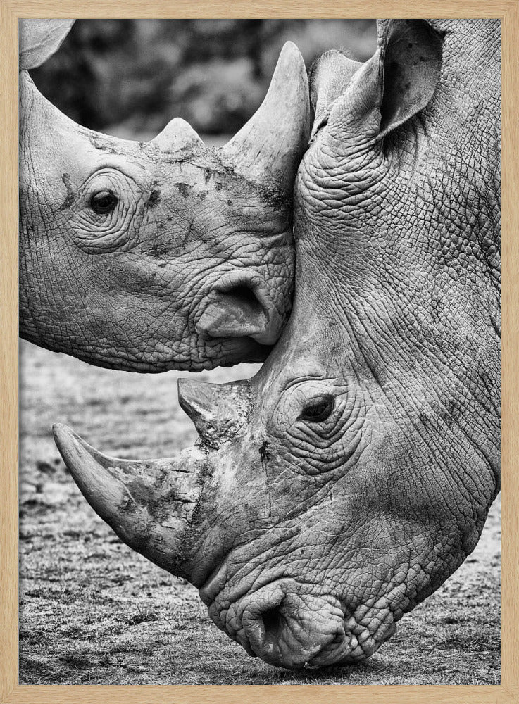 Face to face | Poster