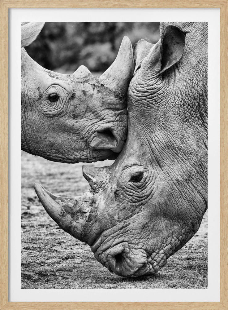 Face to face | Poster