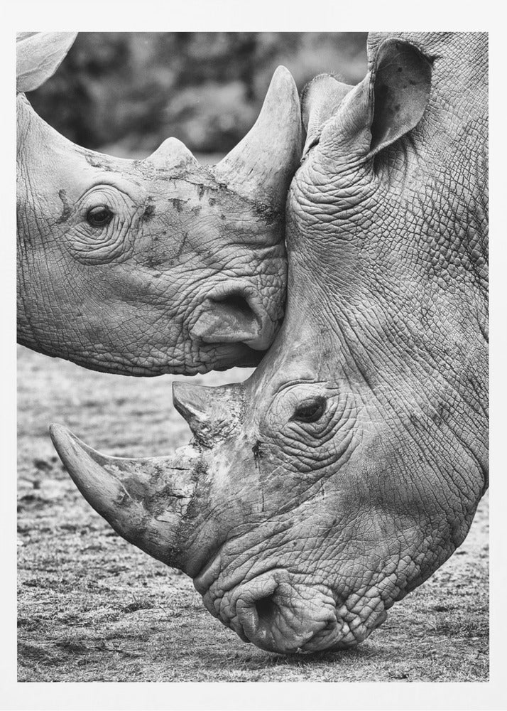 Face to face | Poster