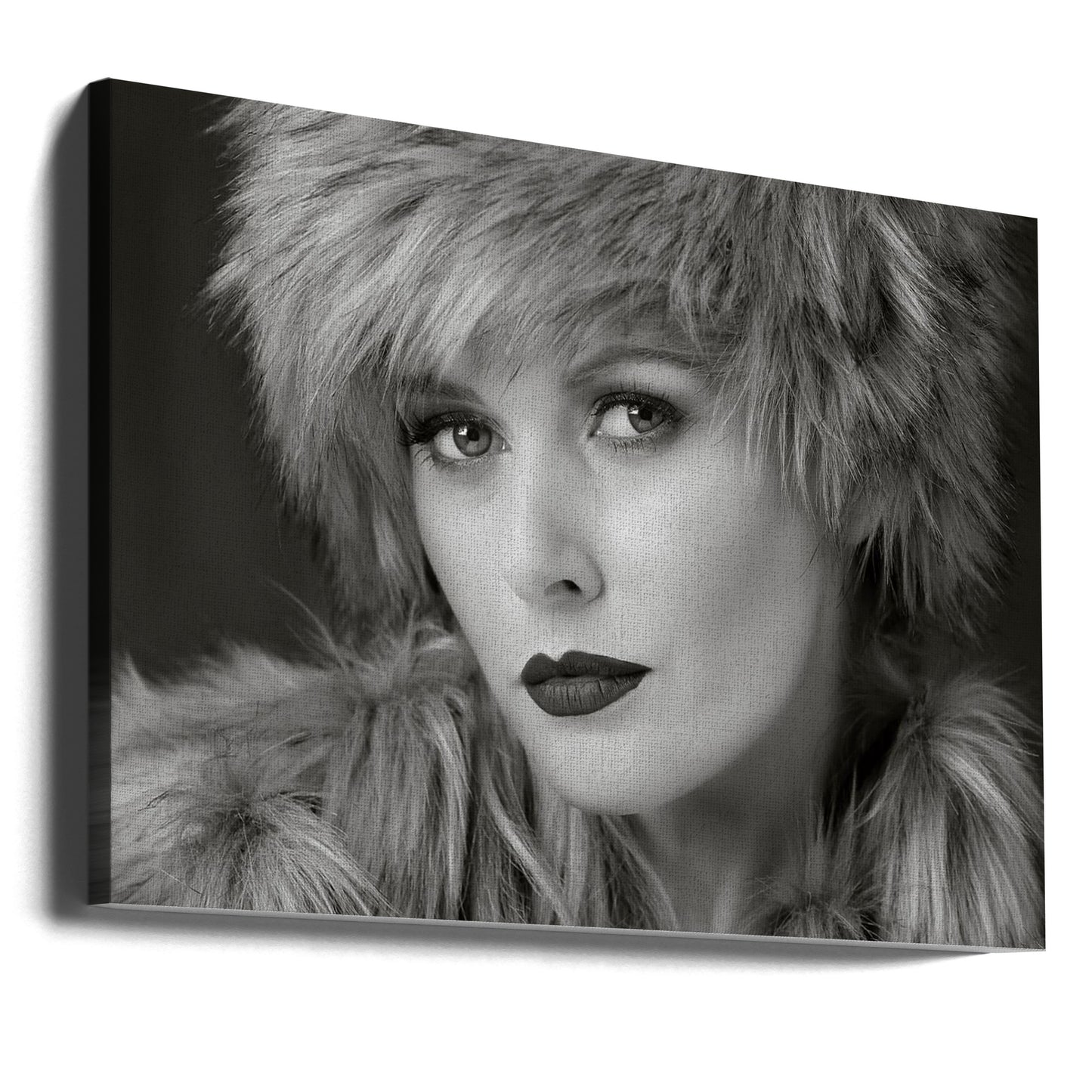 Silmät näkevät sen | Canvastaulut