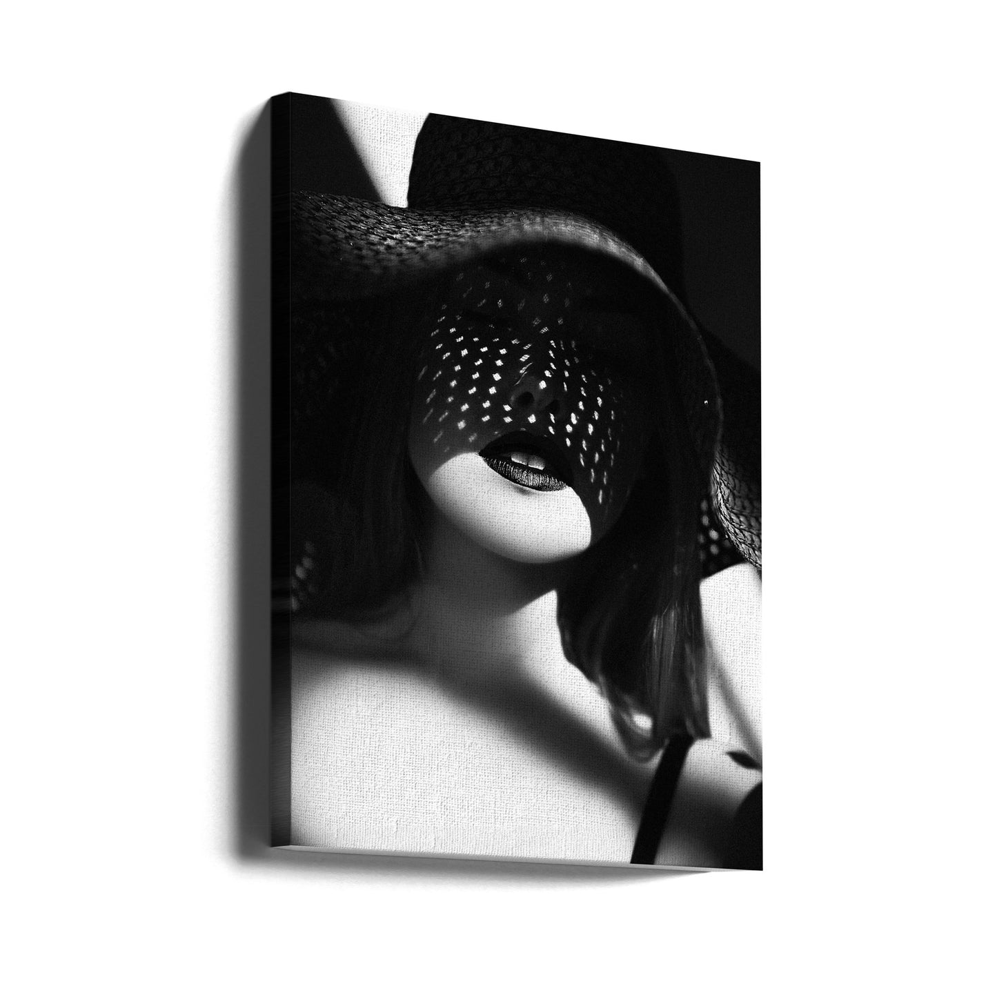 Shadowed Elegance | Canvas