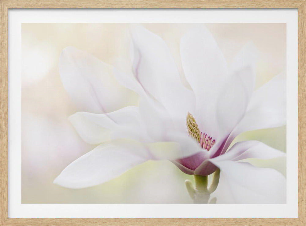 Purity | Poster