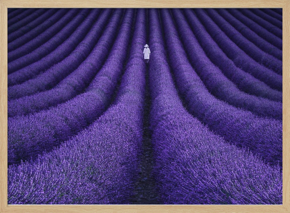 SHE | Poster
