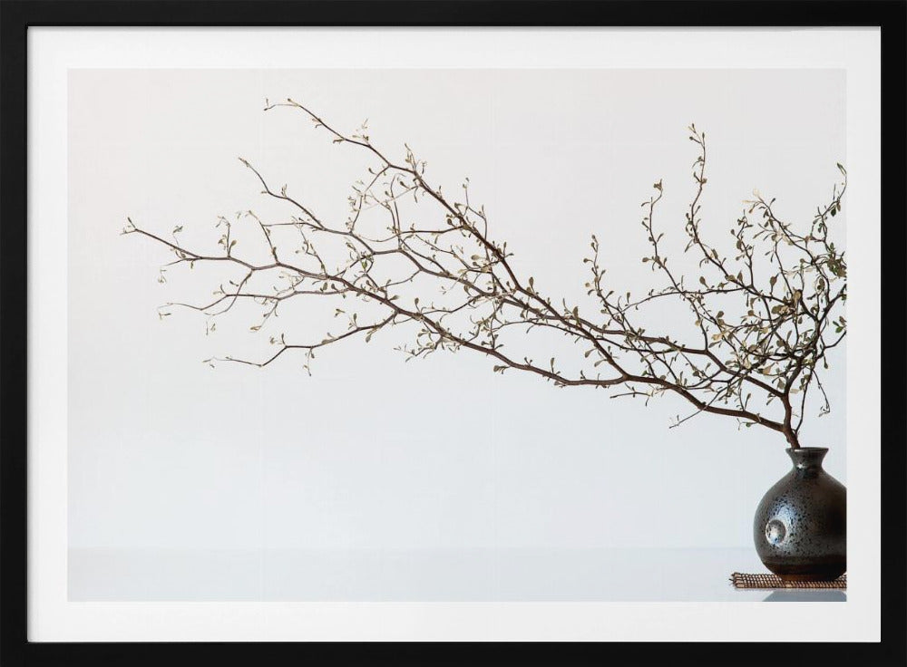 Vase And Branch | Poster