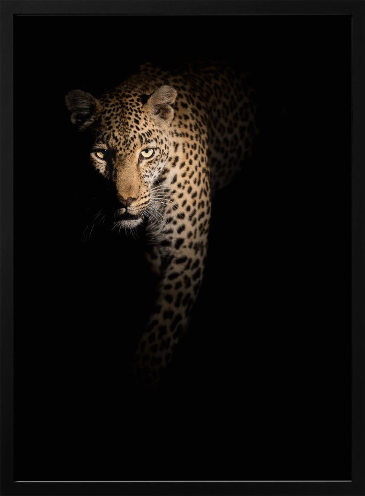 Out of the darkness | Poster