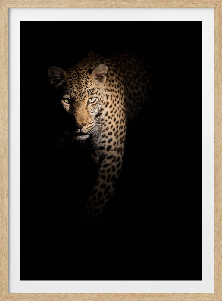 Out of the darkness | Poster