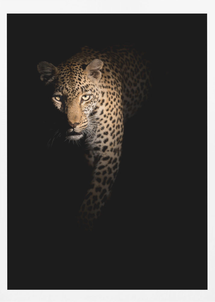 Out of the darkness | Poster