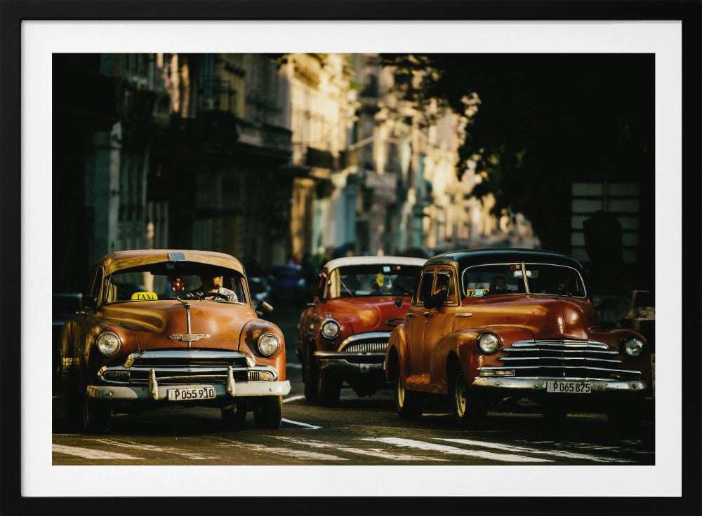 Come with me in the morning light | Poster