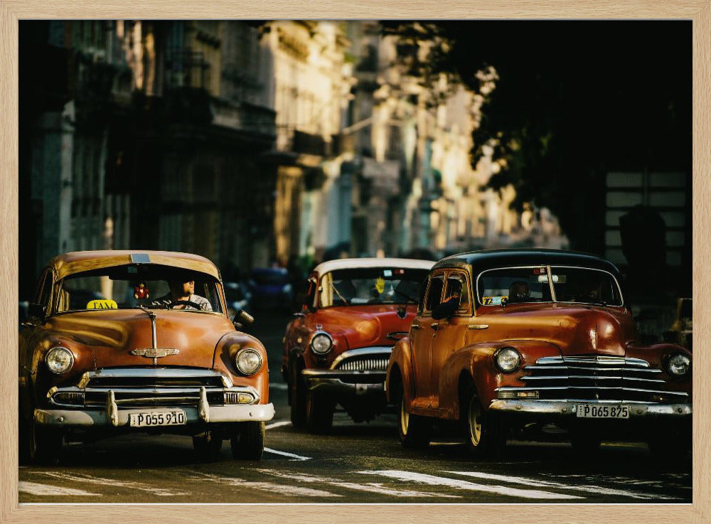 Come with me in the morning light | Poster