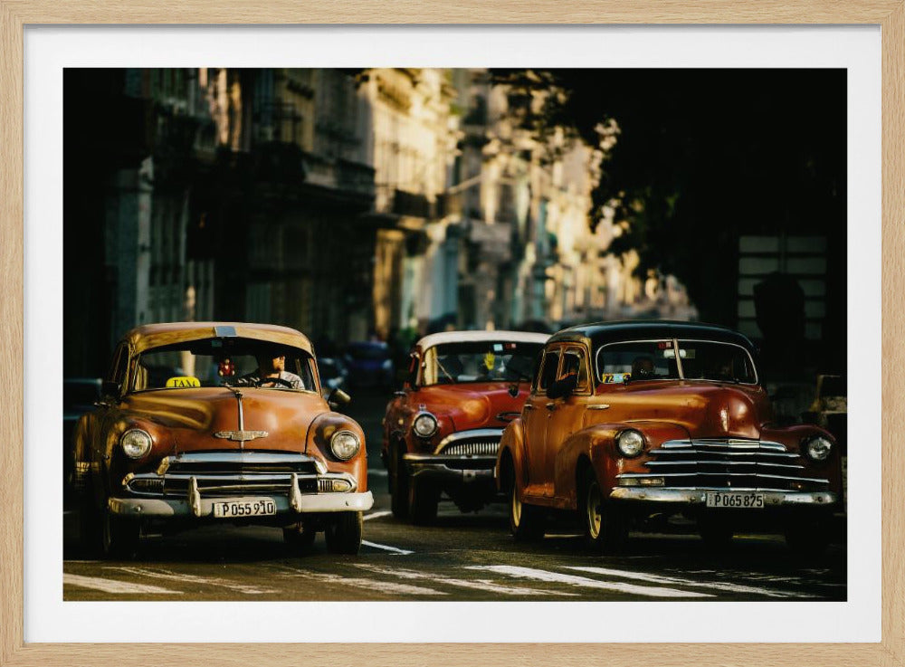 Come with me in the morning light | Poster