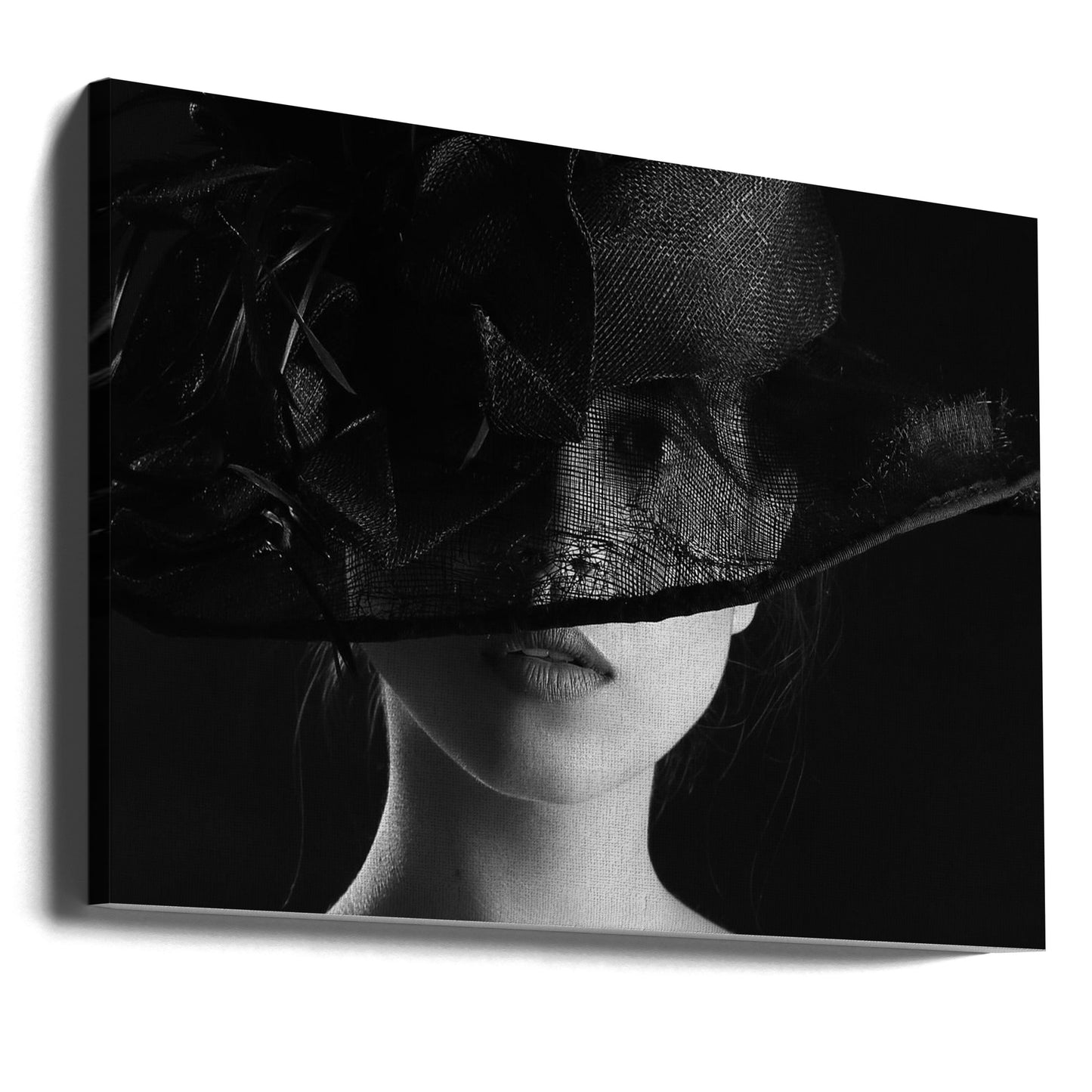 Tyttö hatussa | Canvastaulut