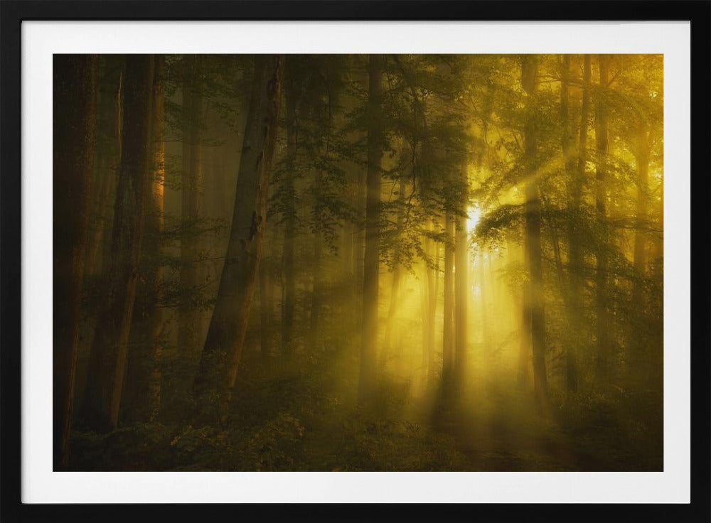 Yellow | Poster