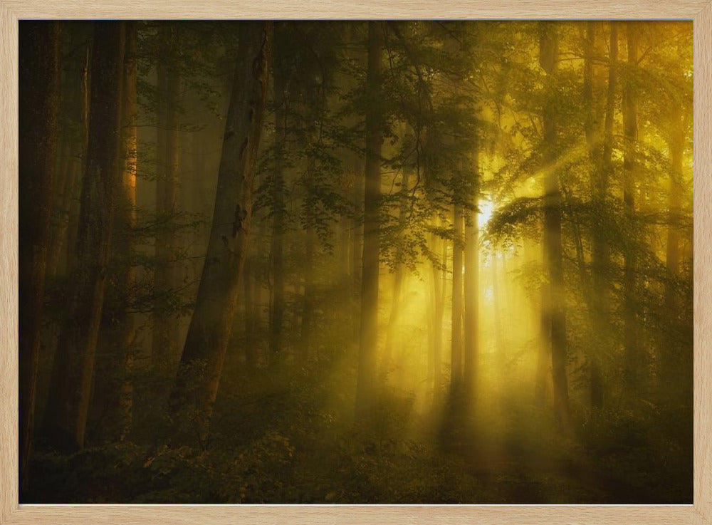 Yellow | Poster