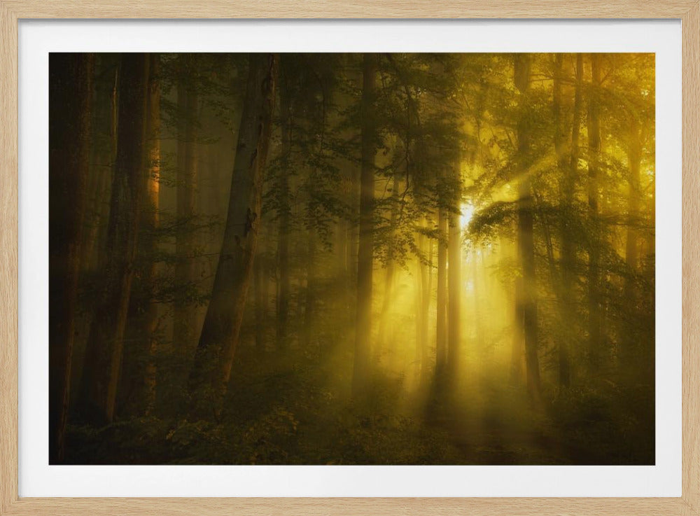 Yellow | Poster