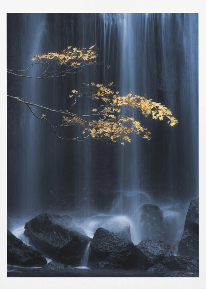 Yellow Autumn | Poster