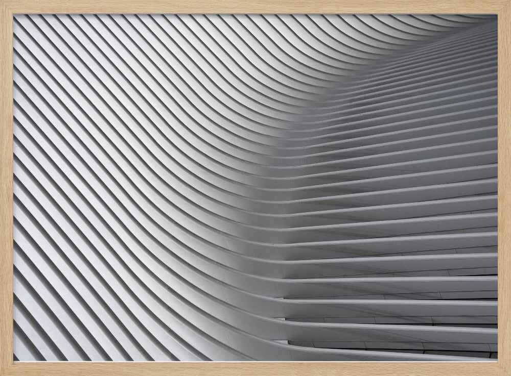 Calatrava Curves # 2 | Poster
