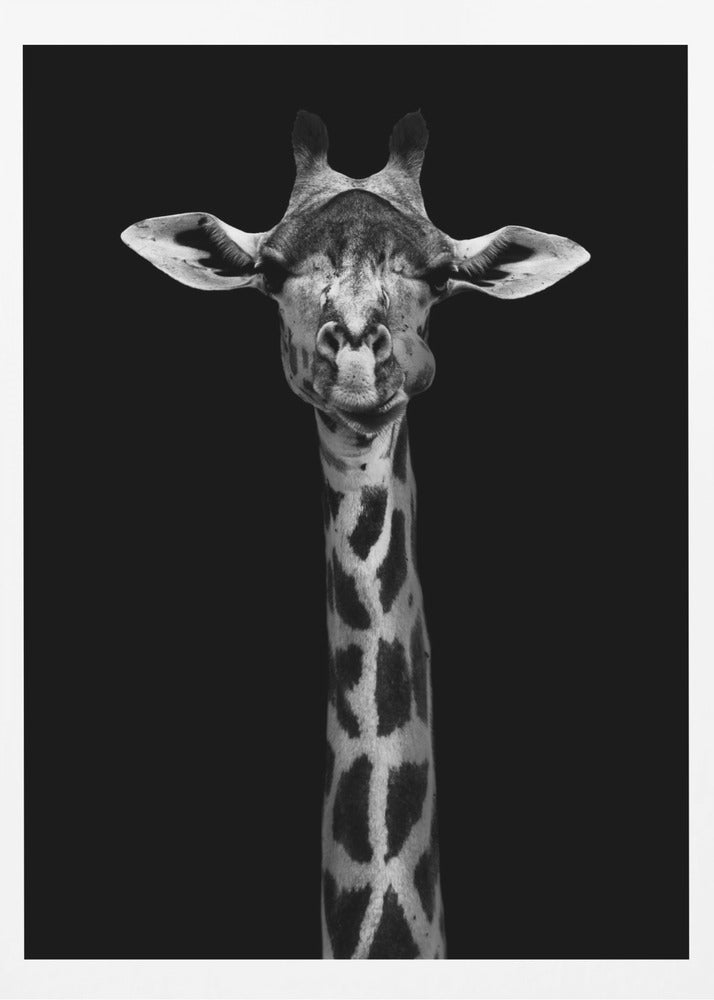 Giraffe Portrait | Poster