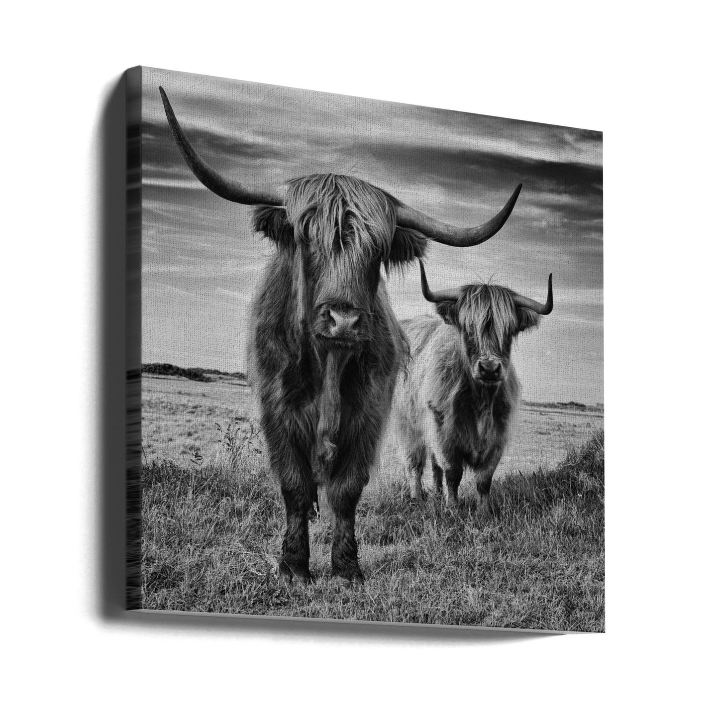 Highlands | Canvas